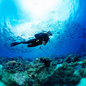 Thrilling Fujairah Two Dives Scuba Adventure and BBQ Lunch