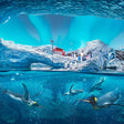 General Admission Ticket to SeaWorld Yas Island Abu Dhabi