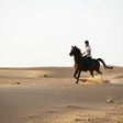 Al Maha Desert Resort - Arabian Horseback Riding Experience in the Dubai Desert