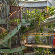 Immersive The Green Planet Day Pass Experience