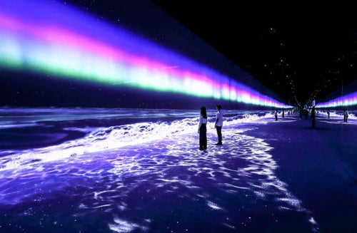Immersive Art Experience Access for One at Arte Museum in Dubai Mall |  at Wondergifts