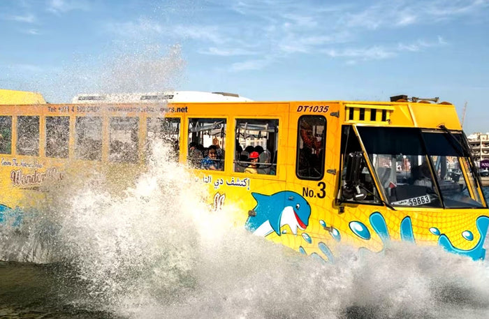 Regular Wonder Bus Tour for One Child: Land and Sea Excursion |  at Wondergifts
