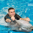 Dolphin & Seal Show for Family of Four at Dubai Dolphinarium |  at Wondergifts