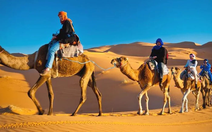 VIP 4x4 Desert Safari with Dinner Buffet & Live Show for Up to Six |  at Wondergifts