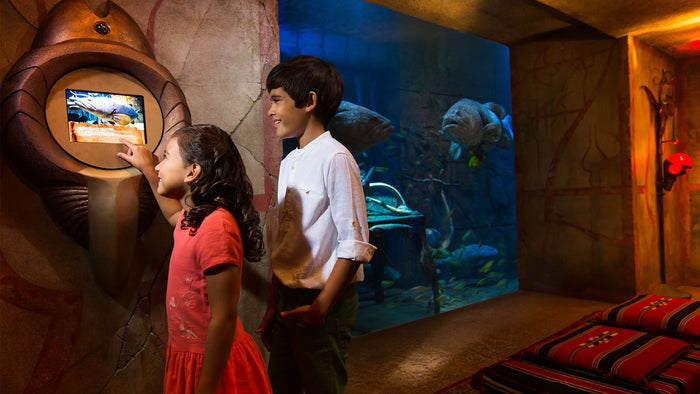 Atlantis Aquaventure Day Pass for One Child |  at Wondergifts
