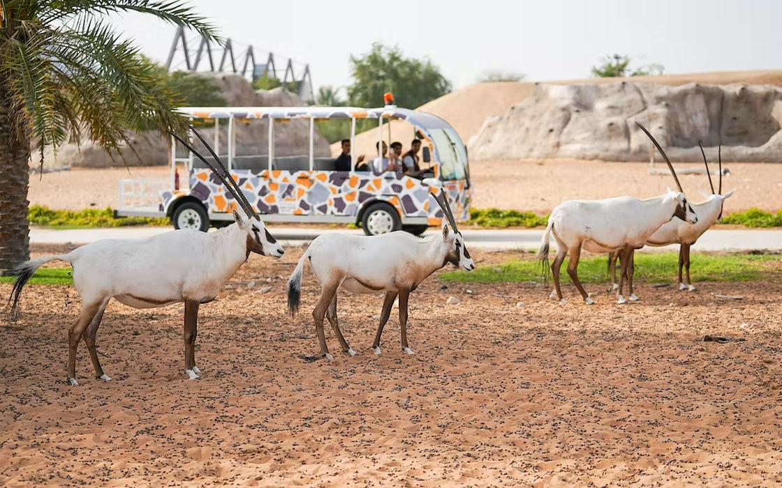 Adventurous Dubai Safari Park Pass for One Adult
