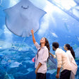 Dubai Aquarium & Underwater Zoo with Penguin Cove General Admission