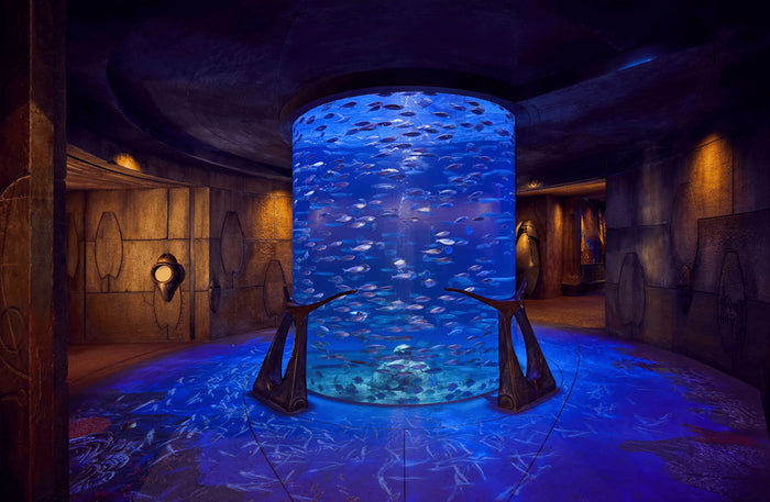 Atlantis The Lost World Aquarium Access for 2 | Buy 1 Get 1 Free Offer