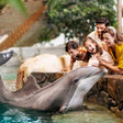 General Admission Ticket to SeaWorld Yas Island Abu Dhabi