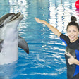 Dolphin & Seal Show General Admission Tickets for 1 Child |  at Wondergifts