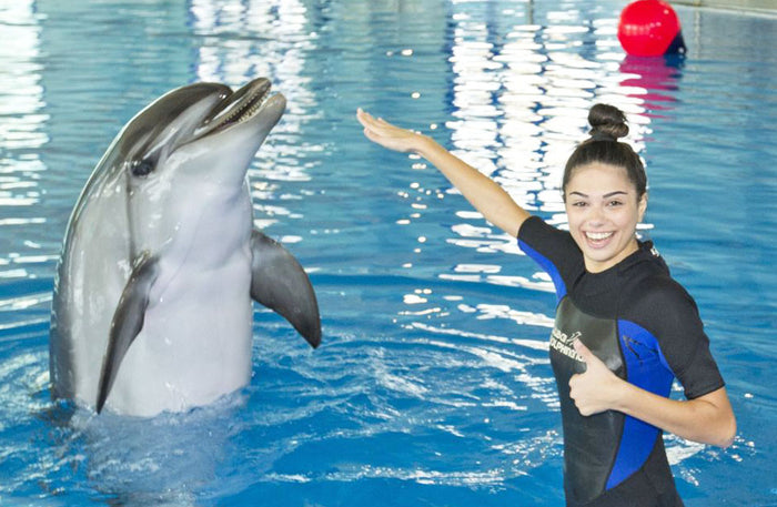Dolphin & Seal Show General Admission Tickets for 1 Child |  at Wondergifts