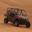 Exhilarating 800cc Buggy Self-Drive Desert Adventure with BBQ Dinner for One