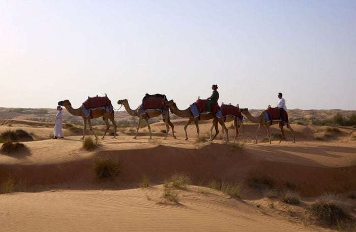 Al Maha Desert Resort - Luxury Desert Adventure with Camel Trek, Wildlife Drive & Sunset Sundowner