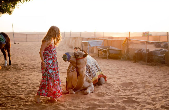 Dubai Hot Air Balloon - Magical Sunrise Desert Flight with Refreshment and Camel Ride