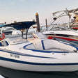 One Hour Speed Boat Ride for Up to 6 People |  at Wondergifts