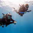 Fujairah Scuba Diving and Snorkeling with Turtles including BBQ Lunch |  at Wondergifts