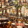 COYA Four Seasons JBR - Signature 3-Course Dining Experience
