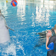 Dolphin & Seal Show General Admission Tickets for 1 Child |  at Wondergifts