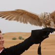 Fun Falconry Safari with Breakfast for Two in Dubai |  at Wondergifts