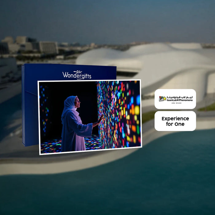 Immersive TeamLab Phenomena Abu Dhabi Experience for One
