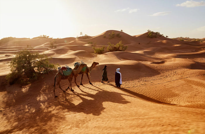 Dubai Hot Air Balloon - Magical Sunrise Desert Flight with Refreshment and Camel Ride
