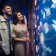 Dubai Aquarium & Underwater Zoo with Penguin Cove General Admission