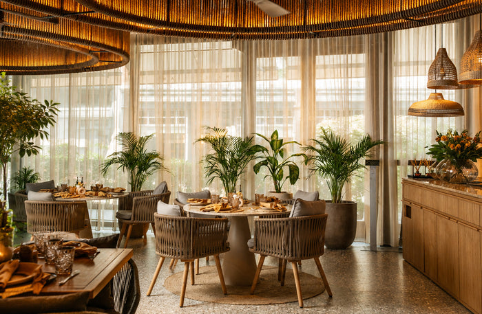 Primi by Panini - Authentic Italian Set Menu Dinner for Two