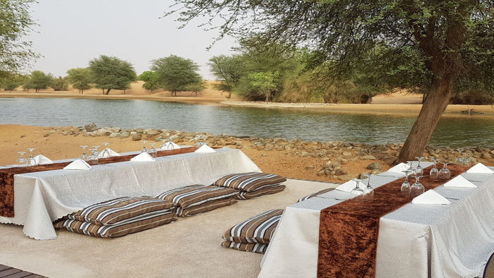 Desert Camel Ride Experience for Two |  at Wondergifts