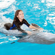 Dolphin & Seal Show for Family of Four at Dubai Dolphinarium |  at Wondergifts