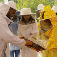 Discover Hatta Honeybee Garden With Your Family Of Four |  at Wondergifts