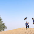 Private Desert Safari & Falconry Experience with Breakfast |  at Wondergifts