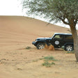 Jeep Wrangler Desert Self Driving Safari, Dinner & Entertainment |  at Wondergifts