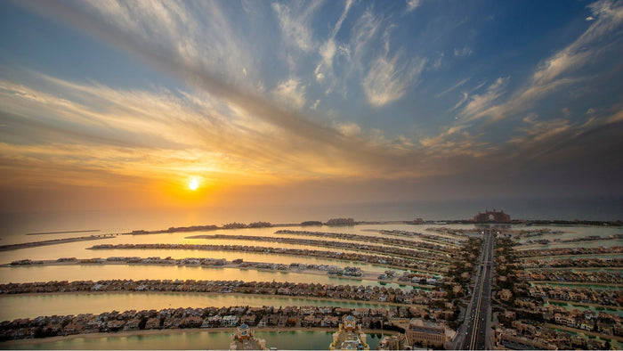 The View at The Palm Prime Time General Admission |  at Wondergifts