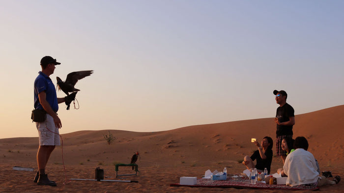 Experience the Breathtaking Beauty of Sunrise Safari for 2 |  at Wondergifts