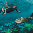 Snorkeling, Turtle Encounter & BBQ in Fujairah |  at Wondergifts