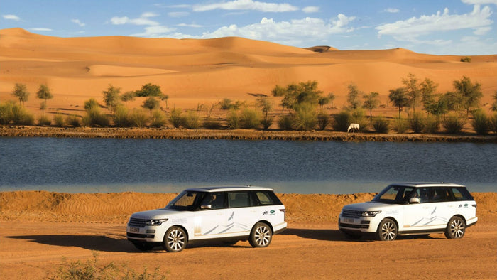 Morning Conservation Desert Drive for Two with Breakfast |  at Wondergifts