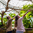 Immersive The Green Planet Day Pass Experience