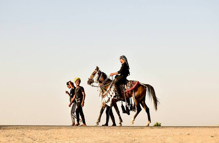 Al Maha Desert Resort - Arabian Horseback Riding Experience in the Dubai Desert