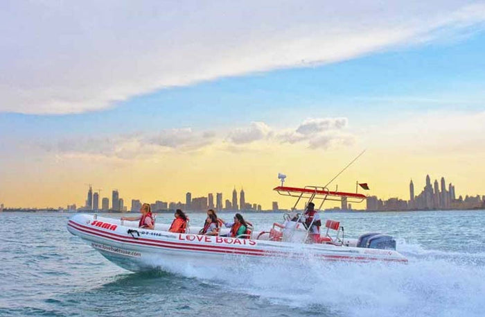 Sightseeing Marina Skyline Boat Tour for One with Love Boats |  at Wondergifts