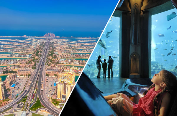 One Night Stay at The Palm with Breakfast & Atlantis Aquarium Access for Two |  at Wondergifts