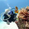 Your Ultimate Beginner's Guide to Scuba Diving Adventures in Al Fujairah