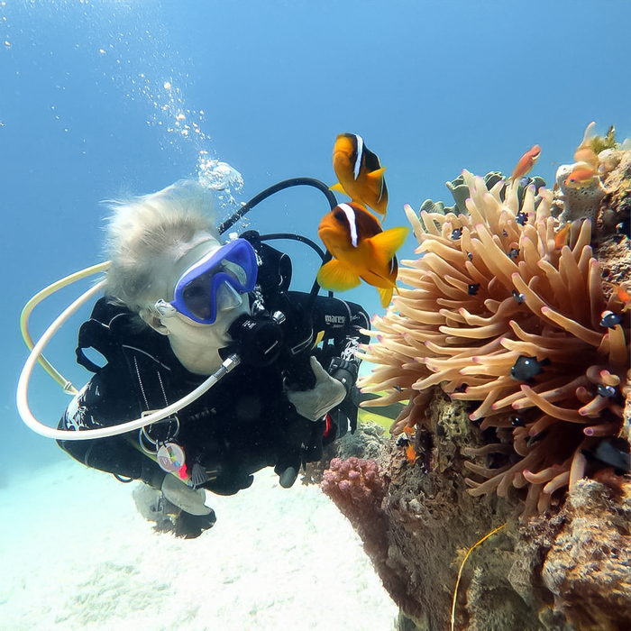 Your Ultimate Beginner's Guide to Scuba Diving Adventures in Al Fujairah