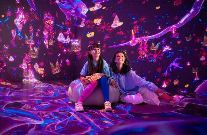 House of Hype Dubai Mall - The Ultimate Virtual Playground Entry Ticket for One