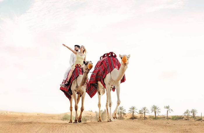 Sunrise Hot Air Balloon with Breakfast and Exciting Quad and Camel Rides |  at Wondergifts