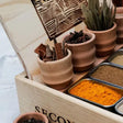 Flavourful Spice Spoons Thai Cooking Class at Anantara The Palm Dubai