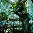 Immersive The Green Planet Day Pass Experience