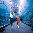 Dubai Aquarium & Underwater Zoo with Penguin Cove General Admission