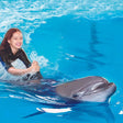 Dolphin & Seal Show General Admission Tickets for 1 Child |  at Wondergifts
