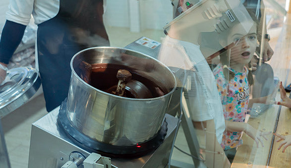 90-Minute Premium Tour in Chocolate World - Farm to Bar Journey |  at Wondergifts