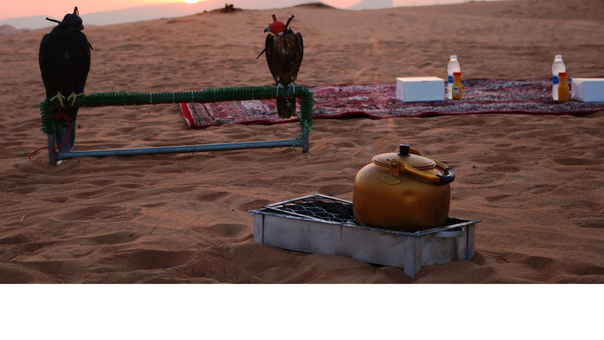 Sunrise & Wildlife Experience with Breakfast in the Desert